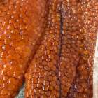 【東京下町手作りハムソーセージの店TAKE-ZO】ご無沙汰致しました。26周年ありがとうございます。